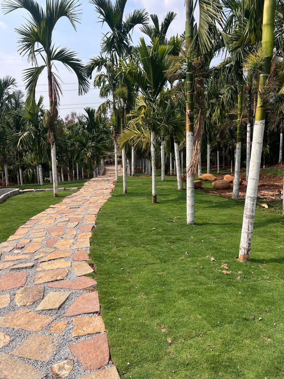 Stone pathway through manicured lawn