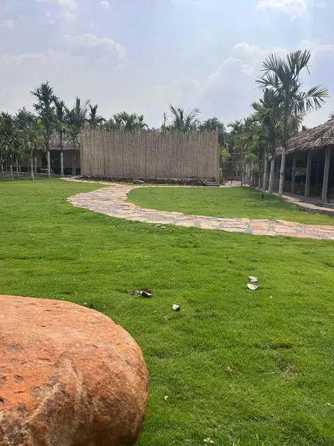 Lawn with bamboo fence at Arekas Arena