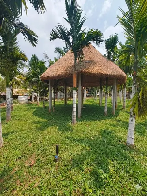 The thatched pergola at Arekas Arena
