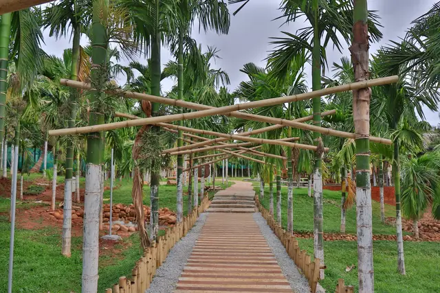 Bamboo pergola walkway through the grove at Arekas Bamboo Arcadia