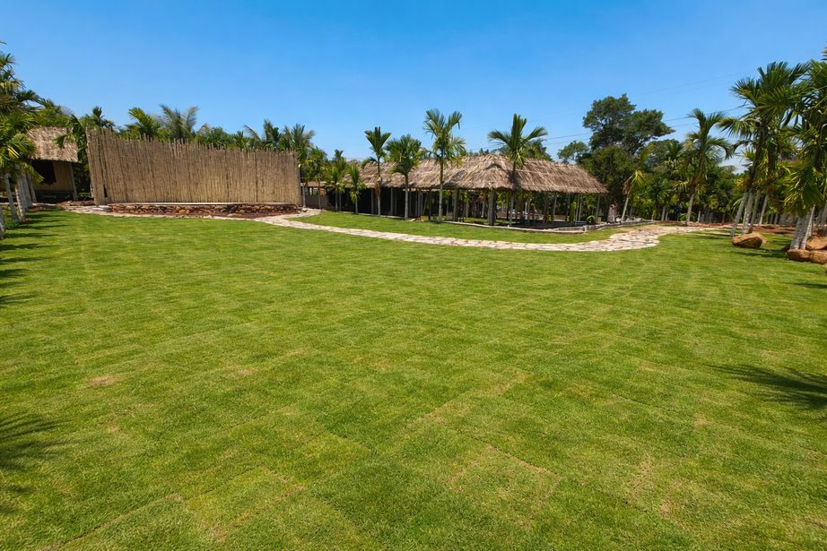 Lawn Area
