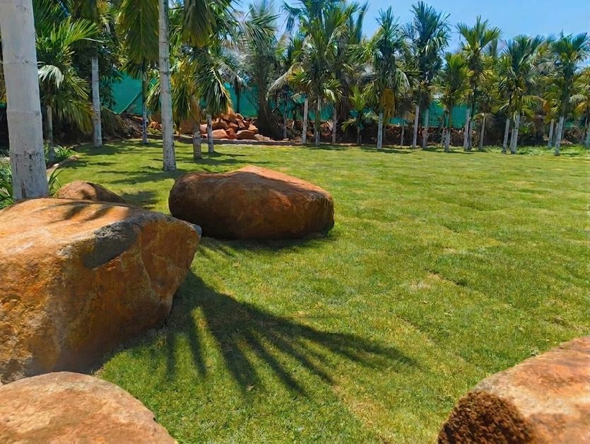 Lawn with boulders