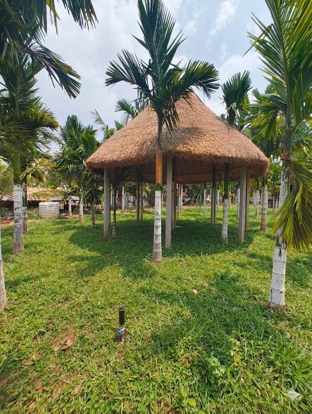 Pergola
